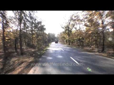 Driving towards Kanha - Madhya Pradesh