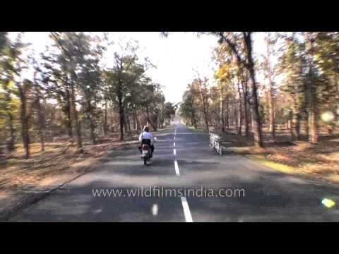 Travelling Jabalpur to Kanha by road