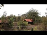 Luxurious Jungle Lodge: Kanha National Park