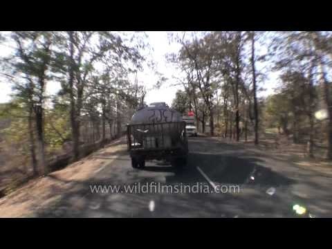 Travelling through the roads of Kanha