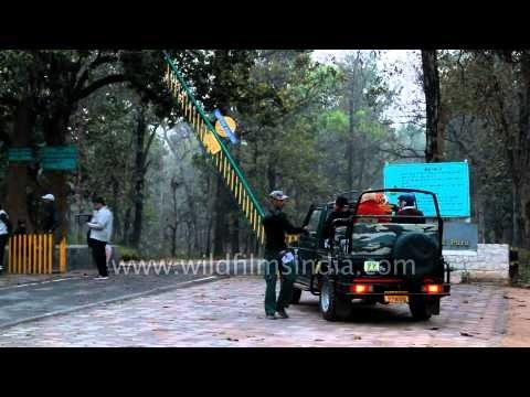 Jeeps entering Kanha National Park for safari
