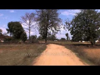 Travelling from Jabalpur to the Kanha Earth Lodge