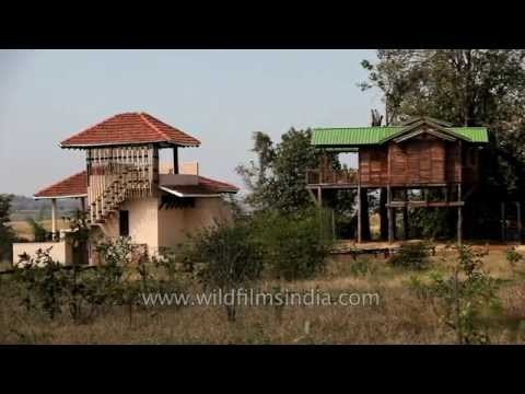 Wildlife safari lodge at Denwa Backwater Escape