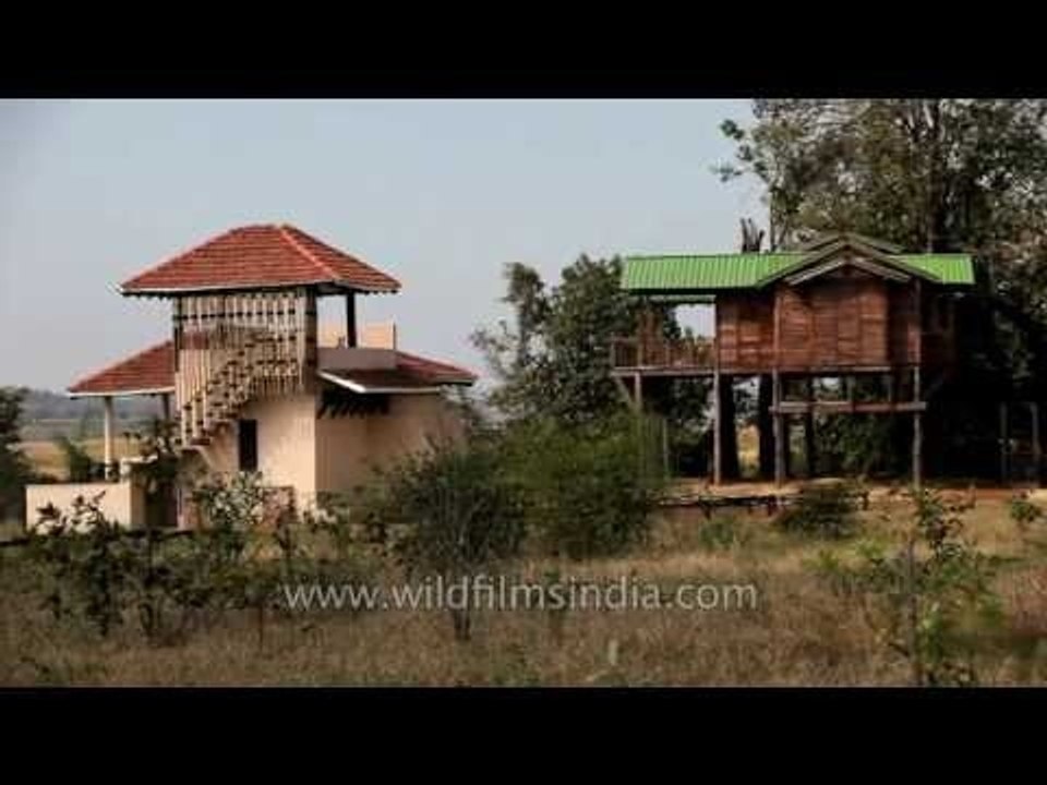 Wildlife safari lodge at Denwa Backwater Escape