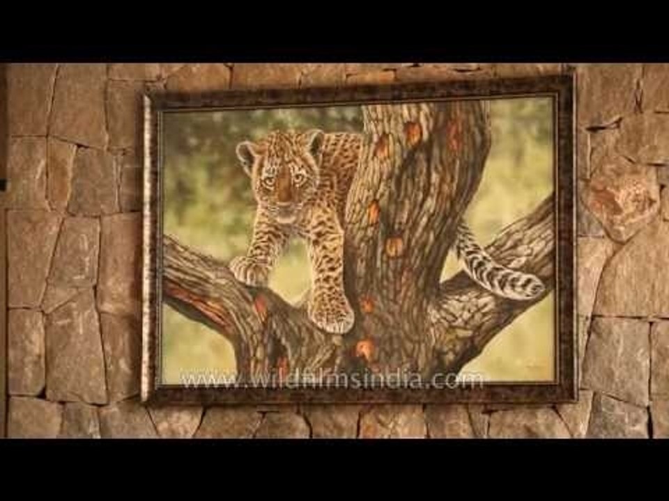 Decorative antique stone carved walls of Kanha Earth Lodge