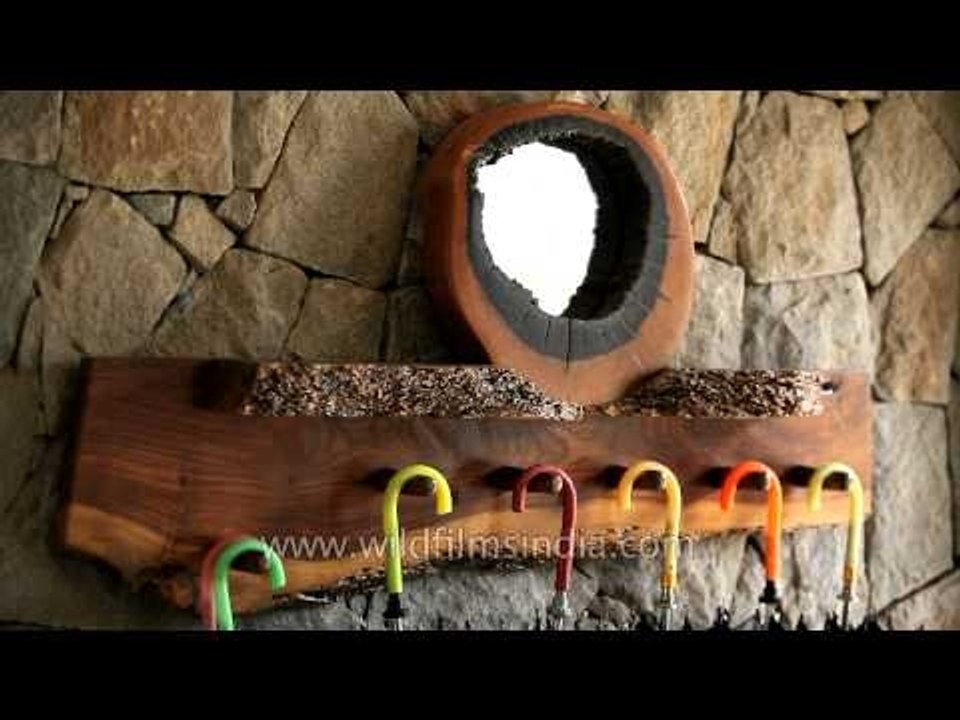 Tribal wall decorations at Kanha Earth Lodge