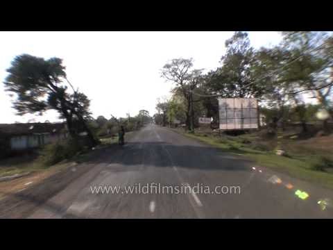 On the way back from Jabalpur to Kanha