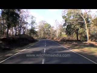 Travelling by road from Jabalpur to Kanha