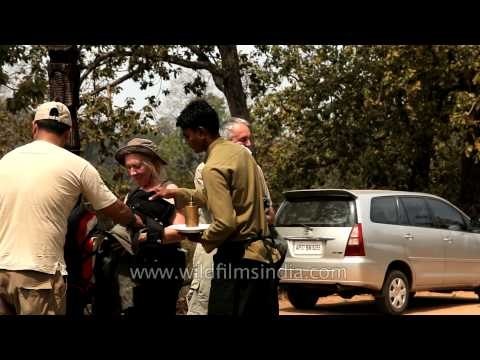 Guests getting refreshed after a morning safari at Kanha Earth Lodge