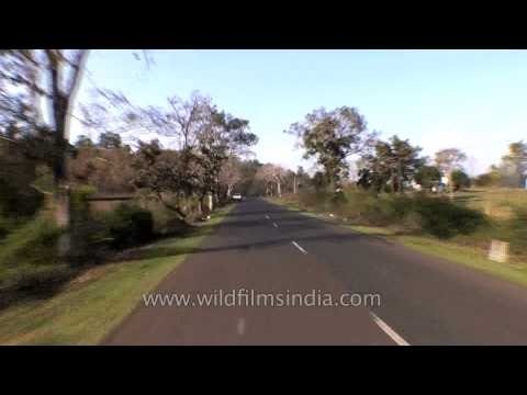 Driving from Jabalpur to Kanha