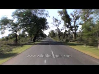 Trip to Kanha National Park