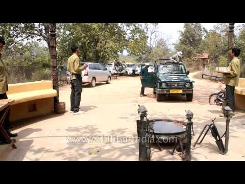 Guest getting refreshed after a safari at Kanha Earth Lodge