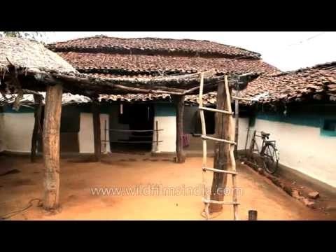 Traditional Gondi tribal huts in Narna Village, Madhya Pradesh
