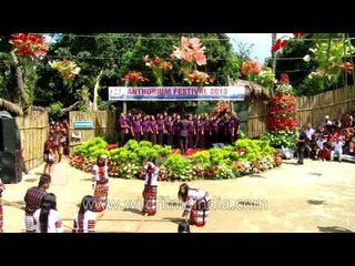 Mizo Choir group giving special number