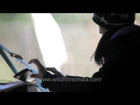 Bhutanese girl weaving using the backstrap loom