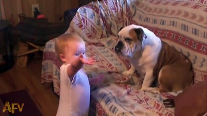 Cet adorable bébé est en pleine dispute... avec un chien !