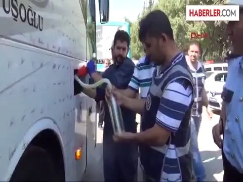 Toplu Taşıma Araçlarında '10 Numara Yağ' Denetimi