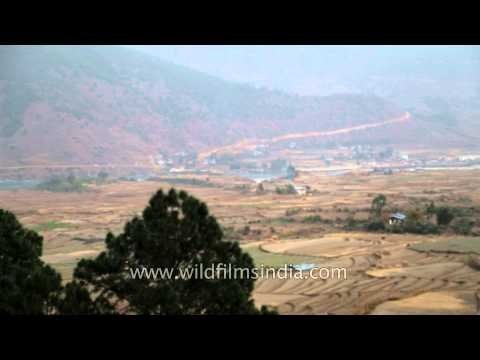 Terraced fields and new constructions above Punatsangchhu river, Bhutan