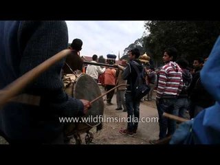 Mandi Mahashivratri marked in a unique way