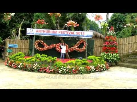 Mizo female singer mesmerises all