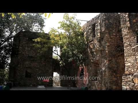 Chittorgarh Fort of Rajasthan - The largest fort in India