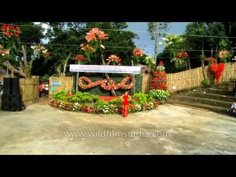 Models displaying bright and colourful Mizo Puan
