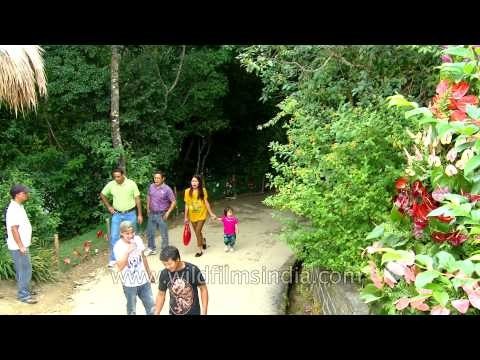 Visitors at the Anthurium Festival - Aizwal