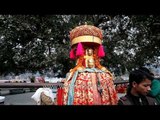 Devotees carrying deities on shoulders - A scene from Shivratri festival Mandi