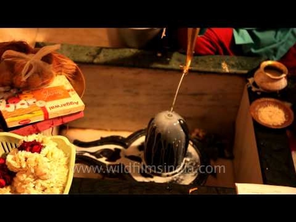 Pouring water on phallus: Hindu pandit recites mantra while performing Maha Abhishek