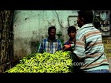 Man busy selling chillies at Udaipur streets, Rajasthan