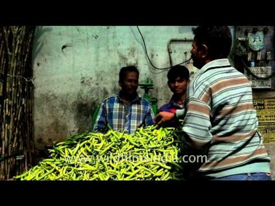 Man busy selling chillies at Udaipur streets, Rajasthan
