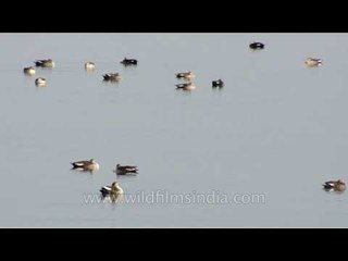 Lake Rajsamand's view from the ghats