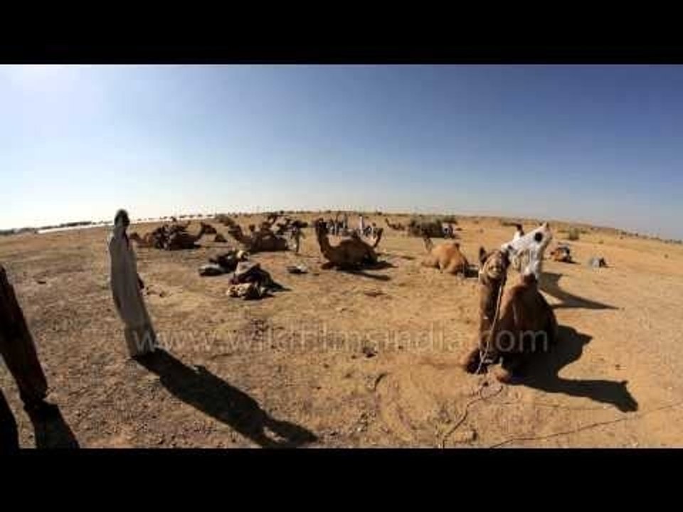 The Great Indian Desert - Jaisalmer