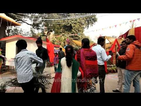 Celebrating Pongal, the harvest festival of Tamils