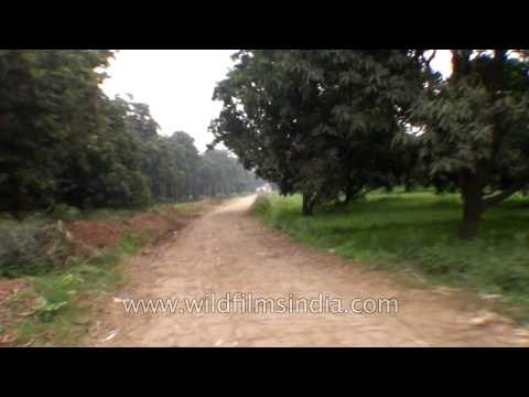 Travelling through the uneven roads of Muzaffarnagar