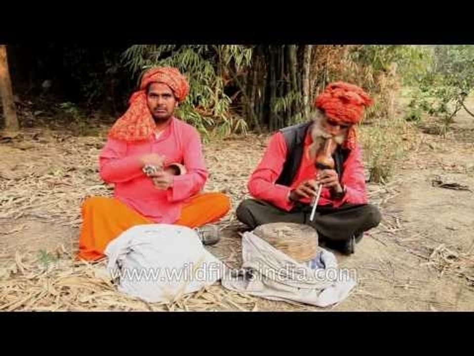 Snake charmers do their thing, which is what? They charm snakes, per se!