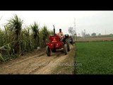 Tractor in sugarcane fields of Uttar Pradesh