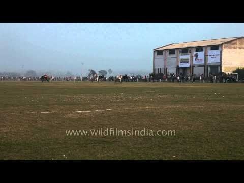 Traditional Bullock cart race in Kila Raipur