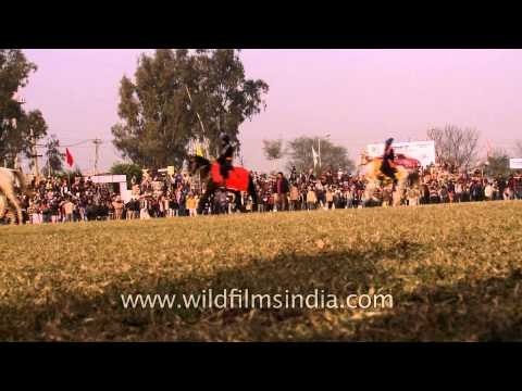 Sikh warriors mounted on horse at Kila Raipur in Punjab