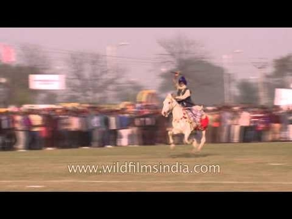 Nihang Sikh exhibiting the skills of tent pegging