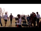 Young boy displaying push up skills at Kila Raipur Olympics