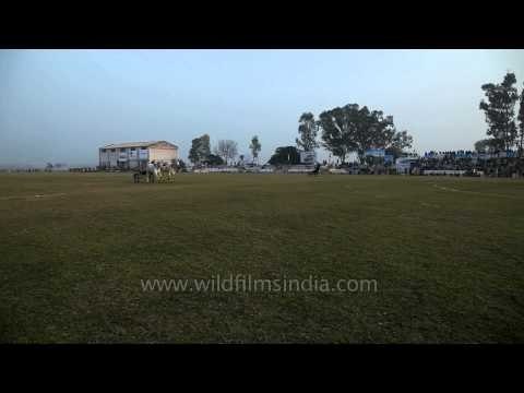 Bullock cart race the main attraction of Rural Olympics