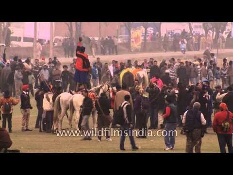 Nihang Sikh warriors riding three horse in Kila Raipur