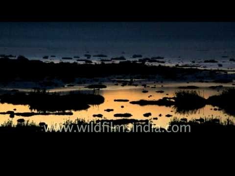 Sunset tapestry over phumdi islands of Loktak Lake, Manipur