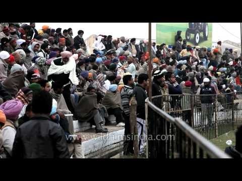 Hundreds of enthusiastic spectators gathered to watch Rural sports