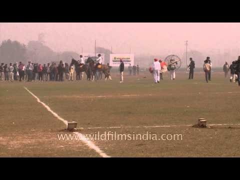 Stunning tent pegging competition