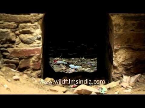 Rani ki Baoli - One of the ill maintained heritage monuments of India