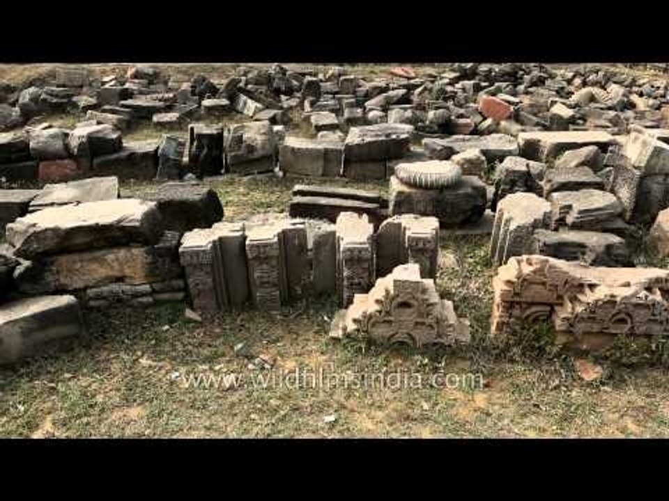 Remains of Harshat Mata temple, Abhaneri