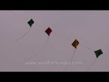 A rainbow colored kite train : at Kila Raipur Sports Festival 2014