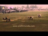 Bullock cart race, the main attraction at Kila Raipur Sports Festival